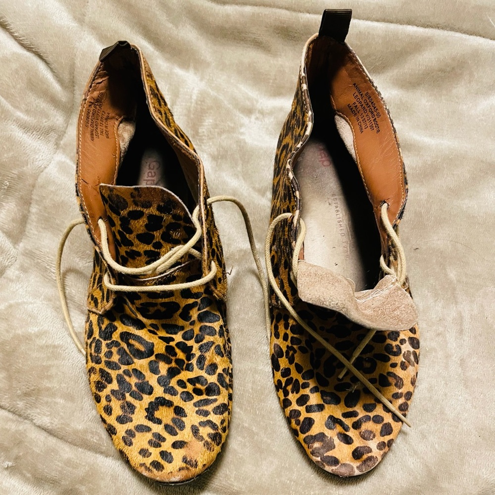 GOP leopard